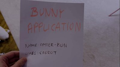 Bunny Casting